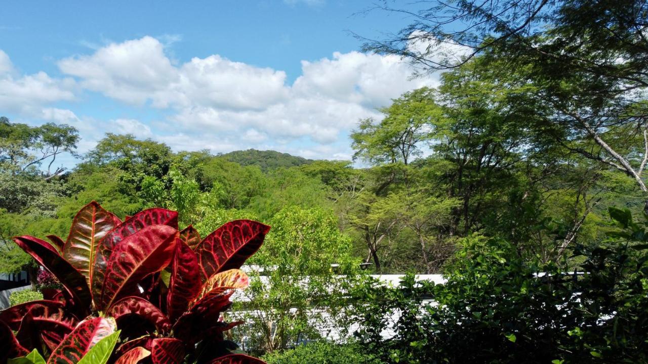 Pacific Kalokairi - Adults Only Hotel Tamarindo Luaran gambar